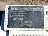 image of grave number 783536